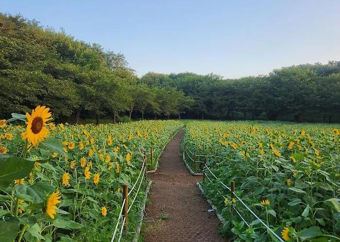 아파트 Dunchon Stay, 둔촌스테이 #올림픽공원#kspo,jyp#둔촌동역4min#감성숙소#아산병원 서울특별시