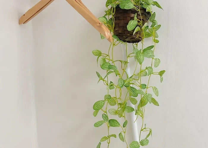 Dunchon Stay, 둔촌스테이 #올림픽공원#kspo,jyp#둔촌동역4min#감성숙소#아산병원 *